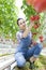 Young farmer examining tomatoes while kneeling in greenhouse