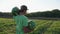 Young farmer harvesting watermelon crop at field of organic farm.