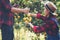 Young farmer  holding sweet orange trees in hands. Farmer gathering autumn orange harvest