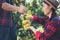 Young farmer  holding sweet orange trees in hands. Farmer gathering autumn orange harvest