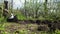 Young Farmer Man Digs Ground with Old Dirty Shovel in the Garden. Time Lapse