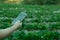 Young farmer observing some charts vegetable filed in mobile phone, Eco organic modern smart farm 4.0 technology concept, Agronomi