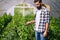 Young farmer protecting his plants with chemicals