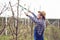 Young farmer pruning fruit tree. Agricultural occupation. Gardening at spring