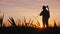 A young farmer with a scythe standing in a field at sunset. Silhouette, rear view