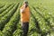 Young farmer in soybean fields