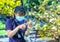 A young farmer takes care of a flowering apricot tree