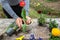 A young farmer transplants a large red tulip from a white ceramic pot. Spring works in the garden