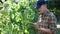 Young Farmer Using Tablet to Take Notes on His Vegetables