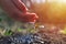 Young farmer watering a young plant growing in garden with sunlight. Earth day concept