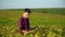 Young farmer writes down the growth rates of soybeans. Concept ecology, bio product, inspection, natural products