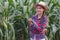 Young farmers are in the corn plantations, Female researchers are examining and taking notes in the corn seed field