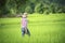 Young farmers grow rice in the rainy season in the rice field