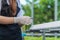 Young farmers are monitoring the hydroponic water system and nutrients in order to control the quality of organic vegetables to