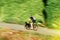 Young fast cyclist bicyclist active man riding a bike on a summer day in forest road