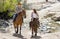 Young father as horse instructor of young teen daughter riding little pony wearing cowgirl hat