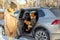 Young father opening door of car for his adorable little daughter in winterwear