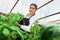 Young female agriculture engineer inspecting plants