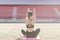 Young female alone at stadium doing yoga