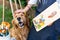 Young female artist working on her art canvas painting outdoors in her garden with golden retriever keeping her company.