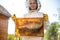 Young female beekeeper hold wooden frame with honeycomb. Collect honey. Beekeeping concept