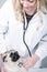 Young female blonde veterinarian with a pug