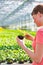 Young female botanist examining herb seedling in plant nursery