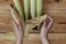 Young female cleaning freshly picked raw corns from cobs on wooden background. Process of Shucking corn