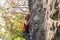 Young female climber is scaling a rocky cliff her grip secure as she reaches for the next handhold
