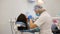 Young female dentist curing tooth cavity.