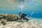 Young female diver in clear shallow water.