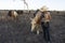 Young female drover caring for her horse