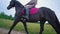 Young female equestrian on horseback galloping on the path through the meadow