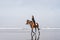 young female equestrian riding horse