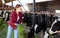 Young female farmer feeding cows with fresh grass in cowshed