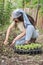 Young female farmer planting eggplant seedlings from a seedbed into the ground.