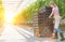 Young female farmer pulling tomatoes in crate with forklift cart at greenhouse with yellow lens flare in background