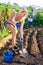 Young female gardener digging vegetable beds in home garden