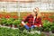 Young female gardener in gloves working in greenhouse, planting and taking care of flowers