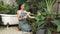 Young female gardener a to tropical plant in minimalist garden. Blithe