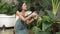 Young female gardener and tropical plant in minimalist garden. Blithe