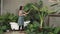 Young female gardener and tropical plant in minimalist garden. Blithe