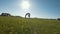 Young female gymnast performs gymnastic bridge on the grass in sunny day