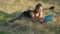 Young female gymnast sitting in split and using laptop. Portrait of brunette flexible Caucasian woman surfing Internet