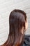 Young female hairdressed hands dyeing long hair to beautiful girl. Barber hair dye is applied with a brush