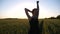 Young female hipster in dress posing on camera on green barley field at sunset. Carefree punk girl with tattoos resting