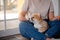 Young female holding Cute little Pembroke Welsh Corgi puppy. Taking care and adopting pets concept. Lifestyle minimalism