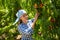 Young female horticulturist in kerchief during harvesting of nectarines