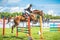 Young, female jockey on her horse leaping over a hurdle.