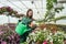 Young female nursery watering beauty flowers in her greenhouse